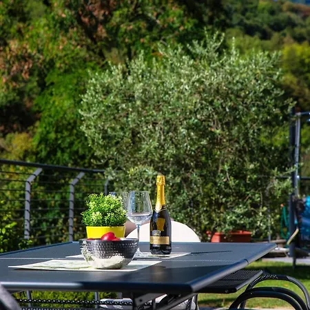 Joivy Luxury Flat & View